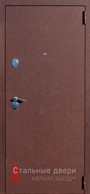 Входные двери с порошковым напылением в Озерах «Двери с порошком»